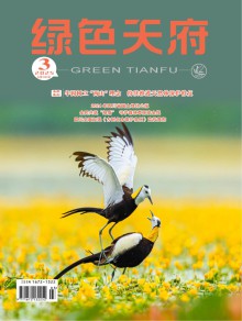 绿色天府期刊
